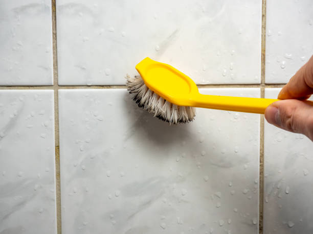 Best Mold Remediation for Schools in Badger, AK