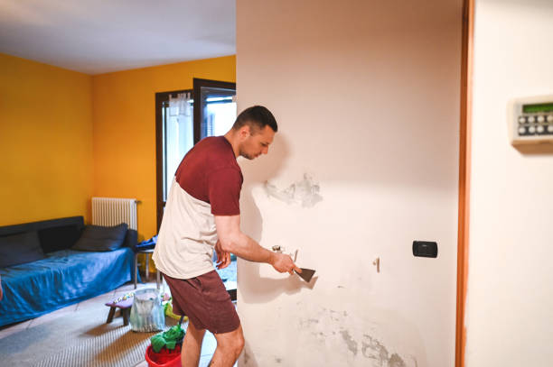 Best Mold Remediation for Specific Building Types in Badger, AK